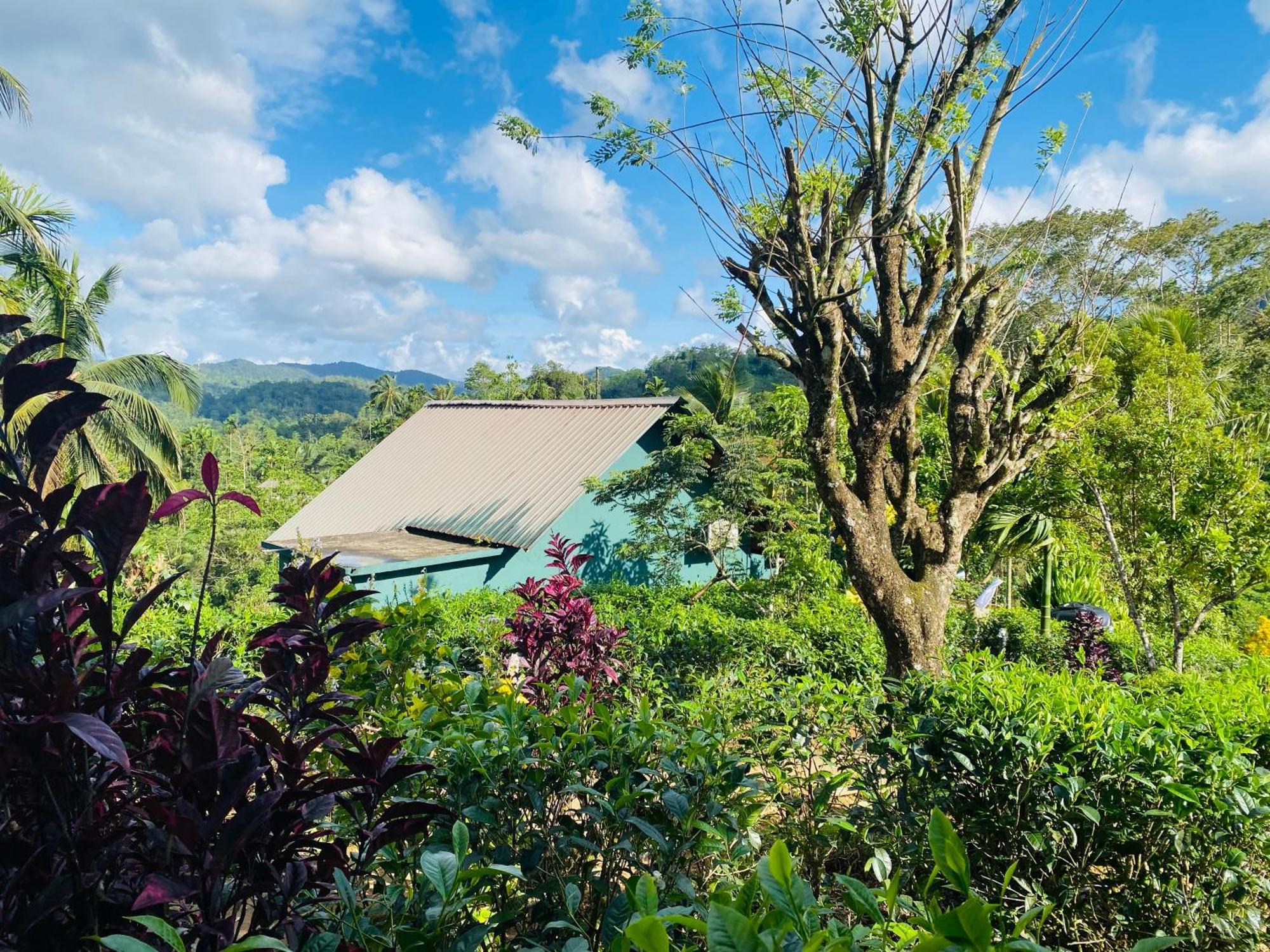 Rainforest Mount Lodge Deniyaya Exterior photo